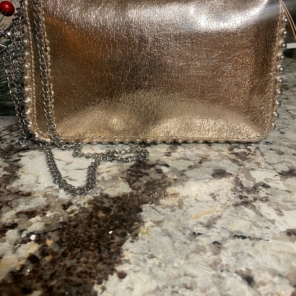 ZARA Metallic Gold Bag